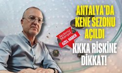 Antalya'da kene sezonu açıldı: KKKA riskine dikkat!