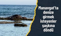 Manavgat’ta denize girmek isteyenler şaşkına döndü