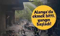 Alanya'da ekmek bitti, yangın başladı!
