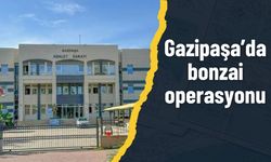 Gazipaşa’da bonzai operasyonu