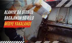 Alanya’da otobüs bagajında 50 kilo midye yakalandı
