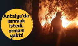 Antalya'da ısınmak istedi, ormanı yaktı!