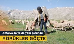 Antalya'da yayla yolu göründü: Yörükler göçte