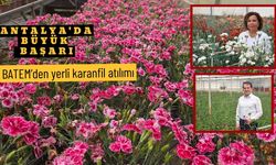 Antalya'da büyük başarı: BATEM’den yerli karanfil atılımı