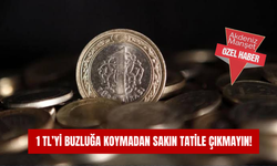 1 TL’yi buzluğa koymadan sakın tatile çıkmayın!