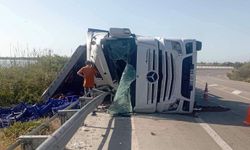 Domates tarlaya değil yola serildi!