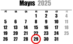 29 Mayıs ne günü?