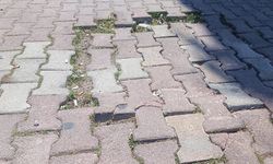 Turizmin göbeğinde esnaf illallah etti!