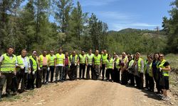 Protokolden ormanlara nefes