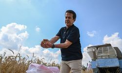 Tarımda enflasyon soluklandı