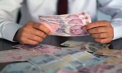 Emekliler dikkat! Bu hakları bilmeyen kaybediyor