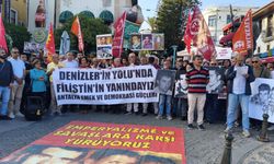 Üç fidan anıldı