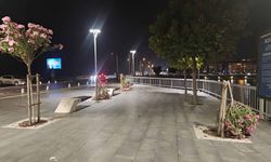 Vandallar sahilde doğaya saldırdı!