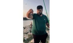 Antalya’da vantuzlu ‘remora’ balığı şaşkınlığı