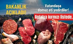BAKANLIK AÇIKLADI: Bu illerde vatandaşa domuz eti yedirdiler! Antalya kırmızı listede…