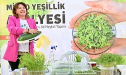 Minyatür bahçeler ortaya çıktı