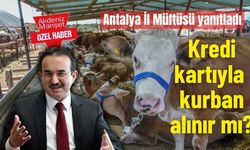Antalya İl Müftüsü yanıtladı:  Kredi kartıyla kurban alınır mı?
