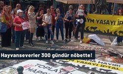 Hayvanseverler 300 gündür nöbette!