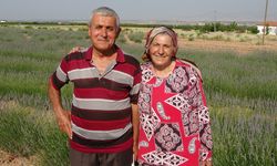 İnternetten gördüler, lavanta üreticisi oldular