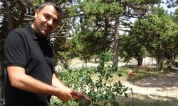 Ölmeden ölüm ilanı verildi, duyunca şoke oldu