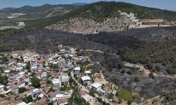 Zümrüt yeşili orman manzaraları kömürlüğe döndü