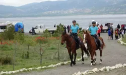 Atlı jandarma görev başında