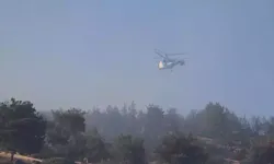 Manisa'daki orman yangını 2'nci gününde