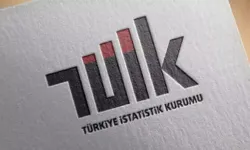 TÜİK yurt dışından Türkiye’ye göç verilerini açıkladı