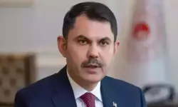 Bakan Kurum: Bilecik'teki yangında 23'ü ev, 47 birim yıkıldı