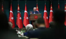 Cumhurbaşkanı Erdoğan: Yangınlarla ilgili 31 kişi gözaltına alındı