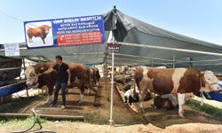 Her mahallede kesim alanı, her ihtiyaca çözüm