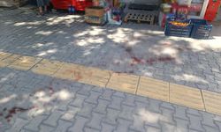 Bıçaklama şüphelisi tutuklandı