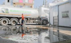 Kesim alanları temizlendi