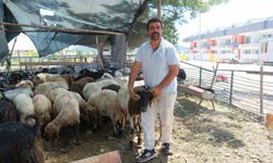 Kemer’de kurban noktalarına belediye merceği