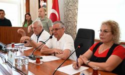Topaloğlu’ndan mecliste sert çıkış: Bu bir vahşettir!