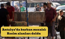Antalya’da kurban mesaisi: Kesim alanları doldu