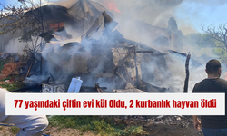 77 yaşındaki çiftin evi kül 0ldu, 2 kurbanlık hayvan öldü