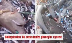 Balıkçılardan 'Bu sene denize girmeyin' uyarısı!
