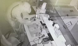 Kovboy şapkalı hırsızı tutuklandı