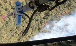 Foça’da orman yangını: Havadan ve karadan müdahale başladı
