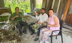 Büyükşehir’den ipek böceği üreticilerine büyük destek