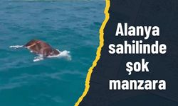 Alanya sahilinde şok manzara