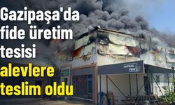 Gazipaşa'da fide üretim tesisi alevlere teslim oldu