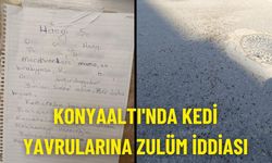 Konyaaltı'nda kedi yavrularına zulüm iddiası