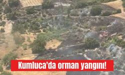 Kumluca'da orman yangını!