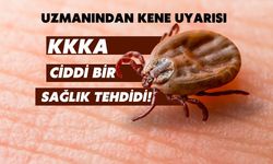 Uzmanından kene uyarısı: KKKA ciddi bir sağlık tehdidi!