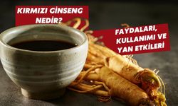 Kırmızı Ginseng nedir? Faydaları, kullanımı ve yan etkileri