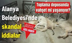 Alanya Belediyesi’nde skandal iddialar: Toplama deposunda vahşet mi yaşanıyor?