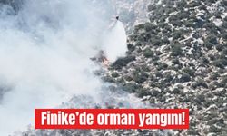 Finike'de orman yangını