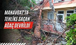 Manavgat’ta tehlike saçan ağaç devrildi